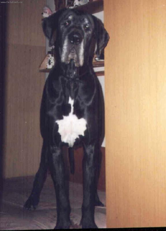 Foto: Hubert Uttis-Hubert Uttis 7let