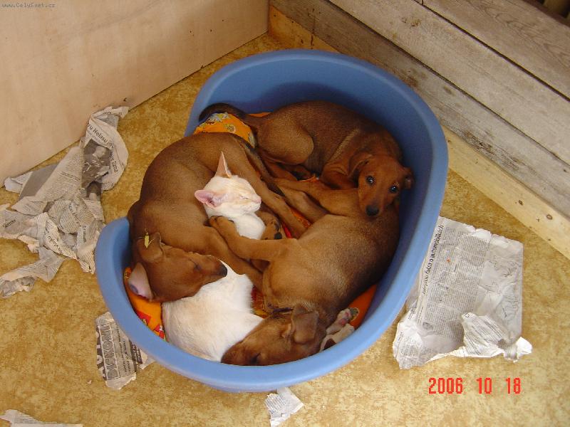 Foto: P��rodn� tepl��ko je nejlep��