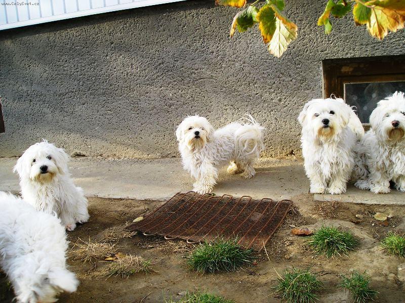 Foto: MOJE BIELE DETI