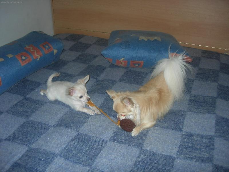 Foto: rozep�e-dej to sem nebo uvid�!