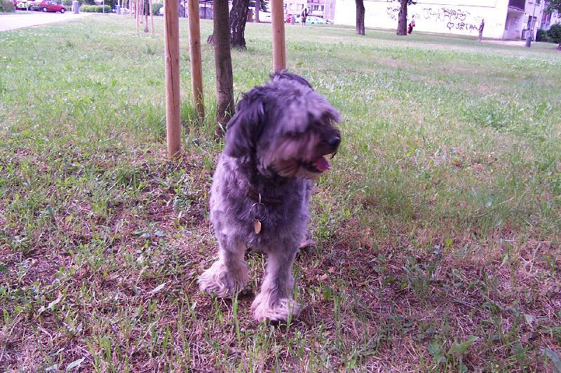 Foto: Bert�k-tybe��k nakr�tko