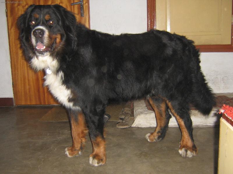 Foto: Brit-Jsou mi 2roky