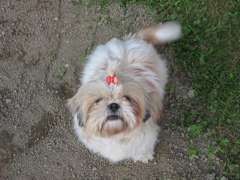 Foto: Moja Su�inka