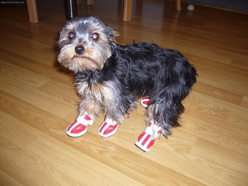 Foto: pomoc.. sundejte mi to!!!!