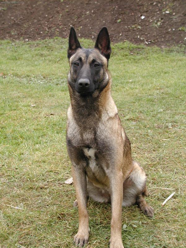 Foto: se d�vejte-d�le�it�