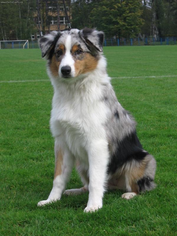 Foto: Deli na v�stav�