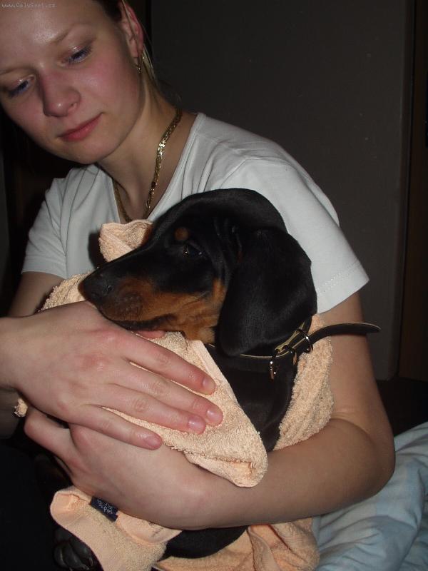 Foto: Max��ek-N� nov� p��rustek :-)