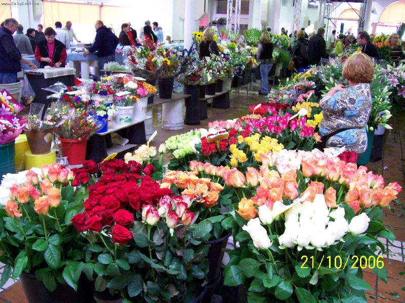 Foto: Cannes-Tr�nice v Cannes