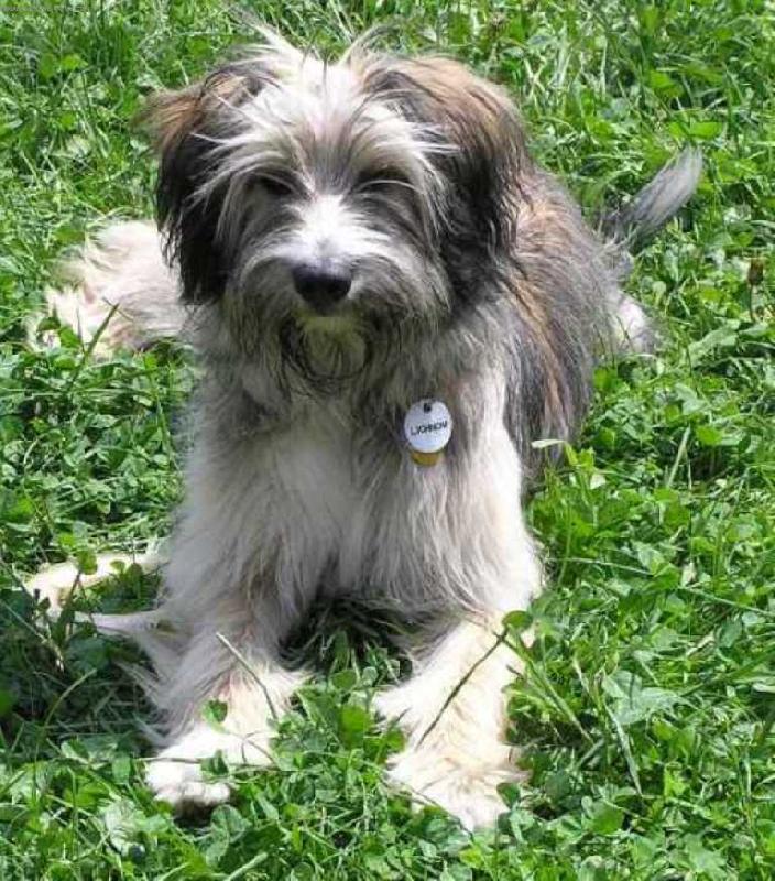 Foto: Masha v l�t�