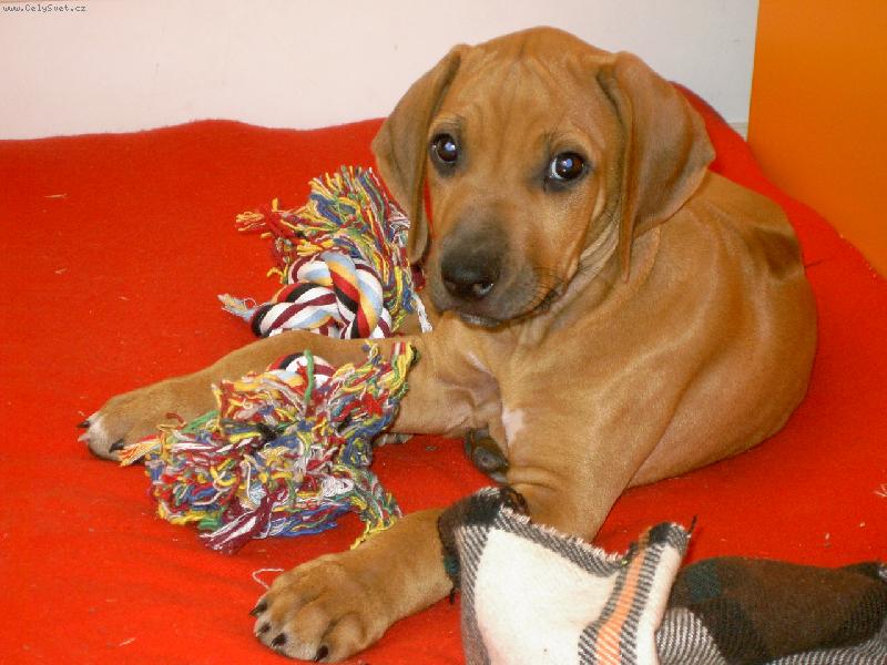 Foto: Enny-Prvn� den doma