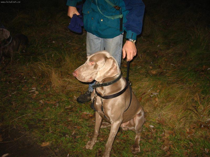 Foto: ARCHIE-Archie-10 M�S�C�