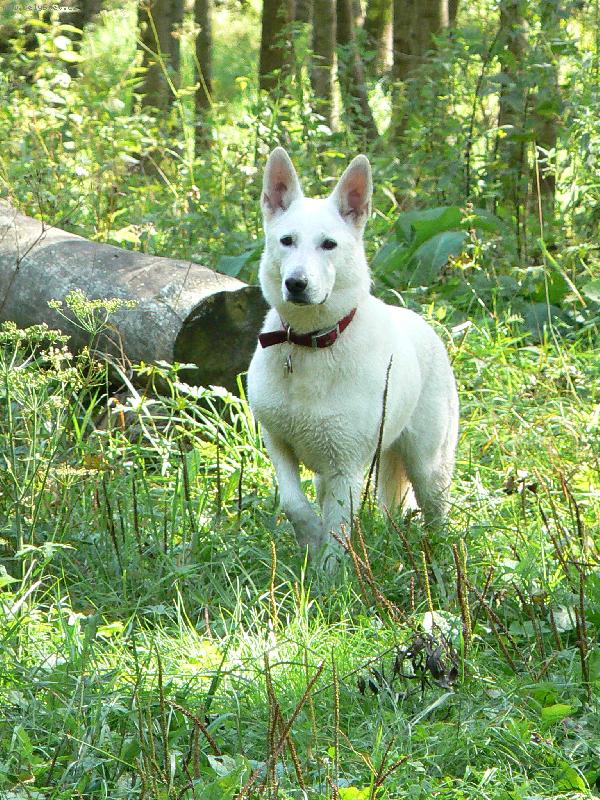 Foto: Arlin Belisima Cembra-Pr�zdninov� pohoda