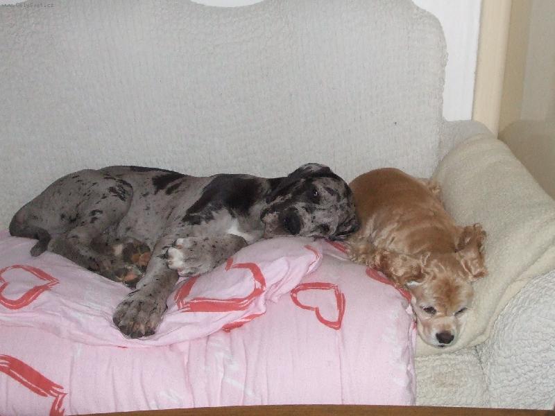 Foto: Tyl�sek s ��ou