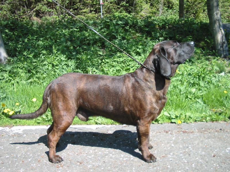 Foto: carinek-l�b� ???