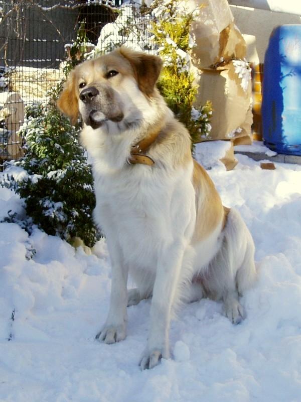 Foto: Benji Jen��k�v les