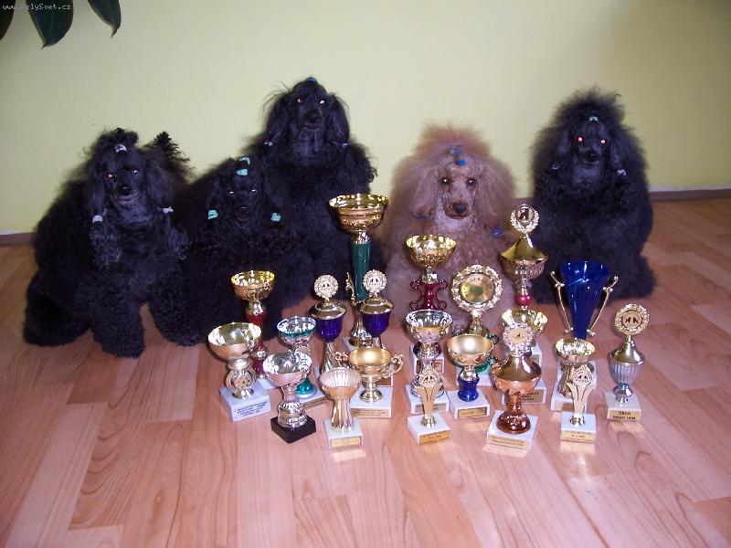 Foto: moji �ampioni