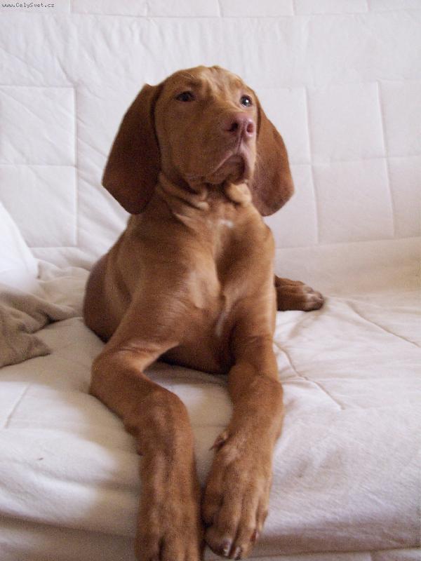 Foto: Bar�a-po pr�ci odpo�inek (5m�s�c�)