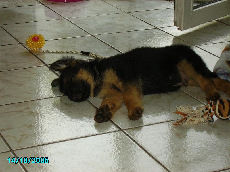 Foto: Jack je unaven