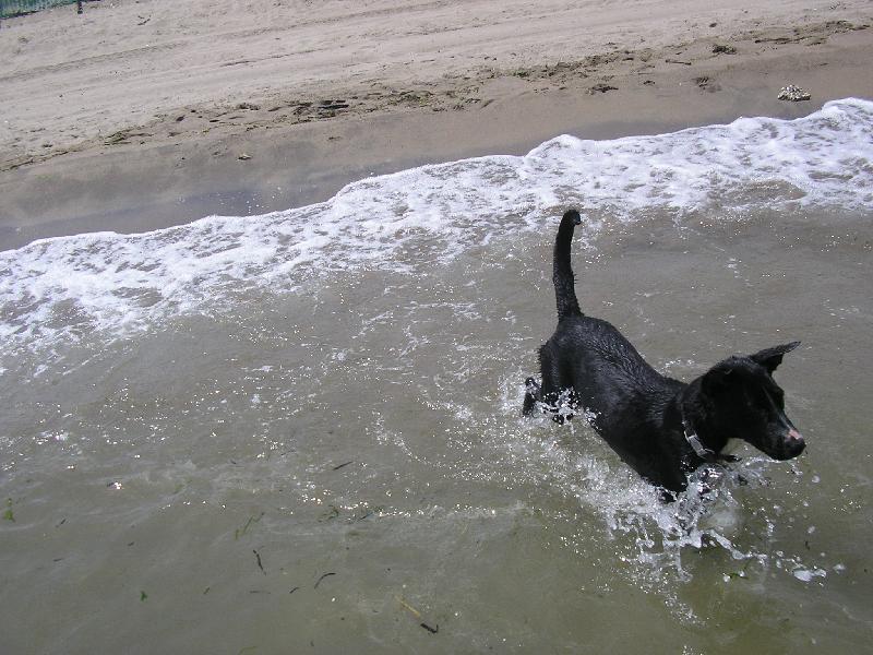 Foto: ��la v mo�i