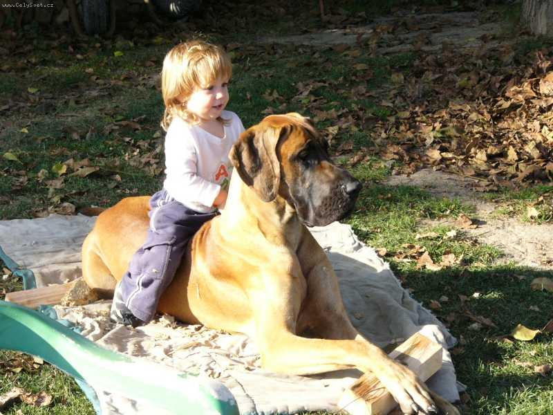 Foto: Enzo Rendog-Enzo a jeho mala pani�ka