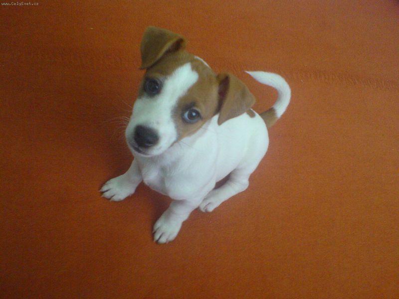 Foto: na�e Jessynka-Kuk