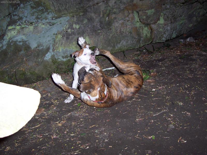 Foto: Elinka s kamar�dkou