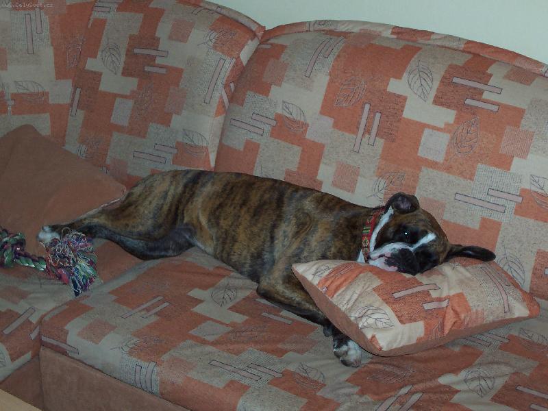 Foto: Je�t� si zd��mnu :)