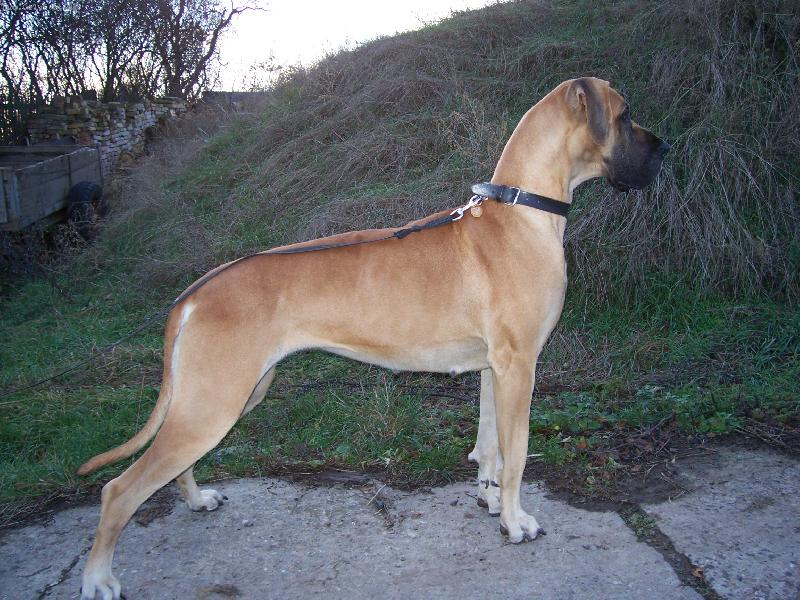 Foto: Ag�ta-Ag�ta