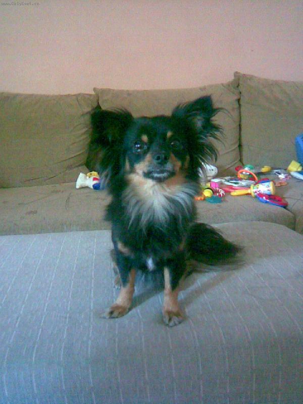 Foto: Besinka-�pln� modelka