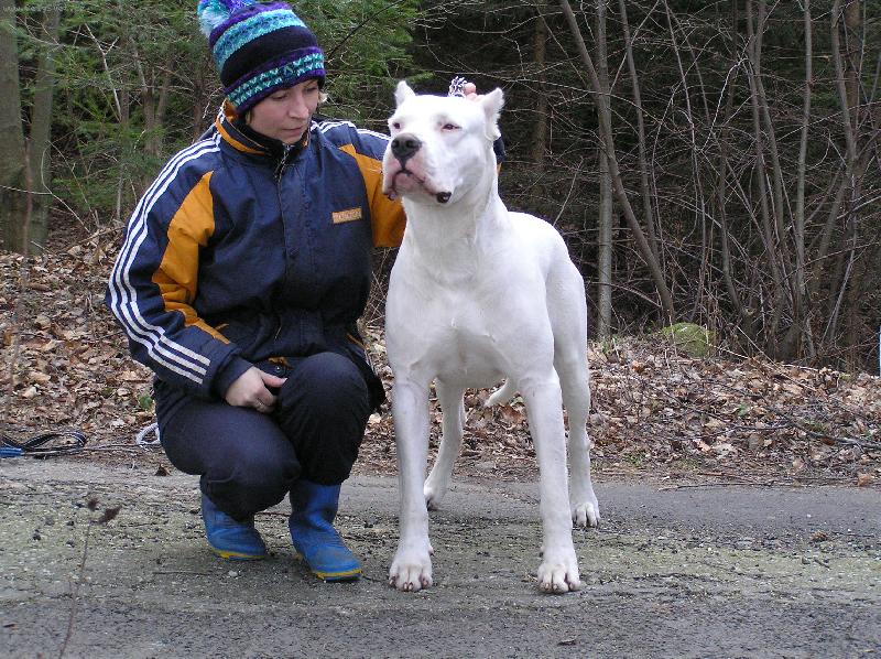 Foto: Rock s pani�kou