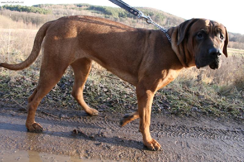 Foto: Kima-ven�ing