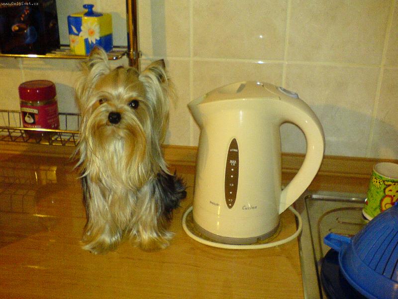 Foto: Jolly 15 m�s�c�-k�vu?