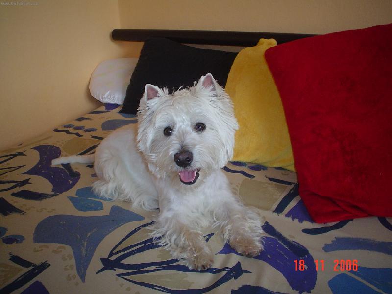 Foto: Gucci-pohodl��ko