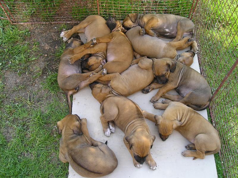 Foto: A� vyrostem, p�jde z n�s strach!