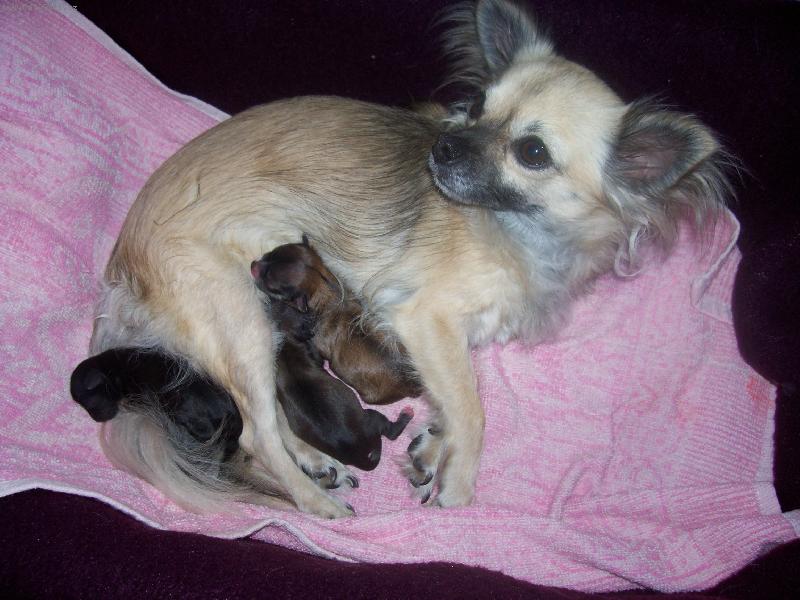 Foto: jen p�r hodin na sv�t�