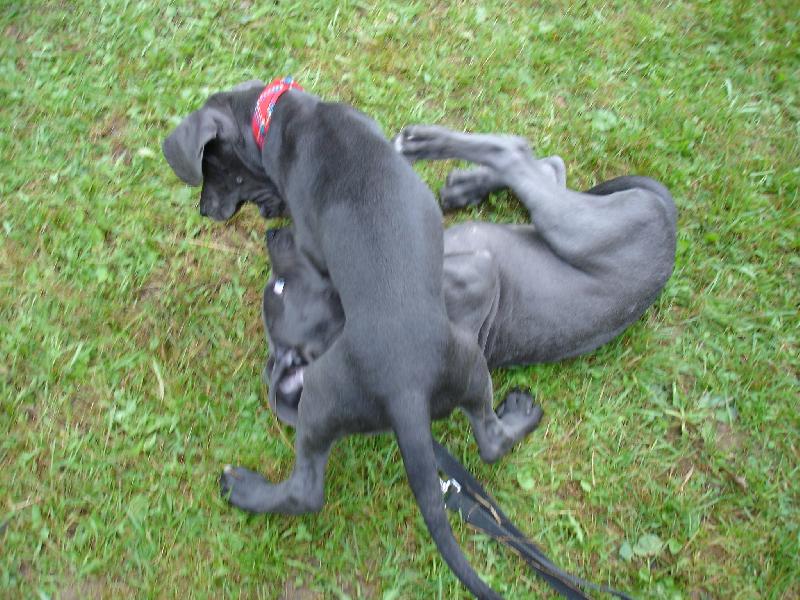 Foto: Divo�ina-Klubov� v�stava 2006