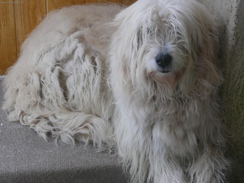 Foto: Na�e ketynka 2