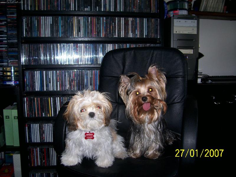 Foto: Bessy a Brenda