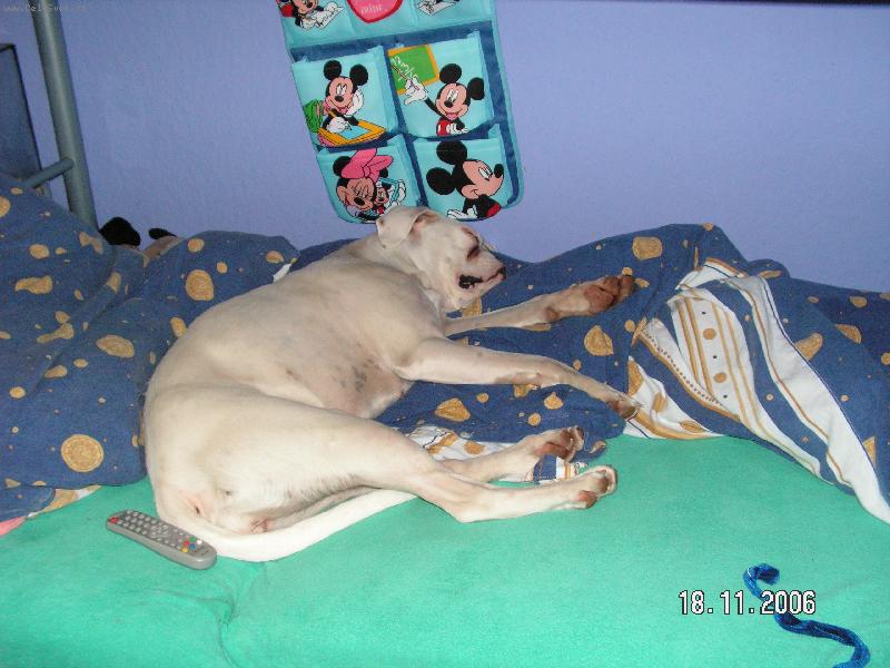 Foto: potom to vypni