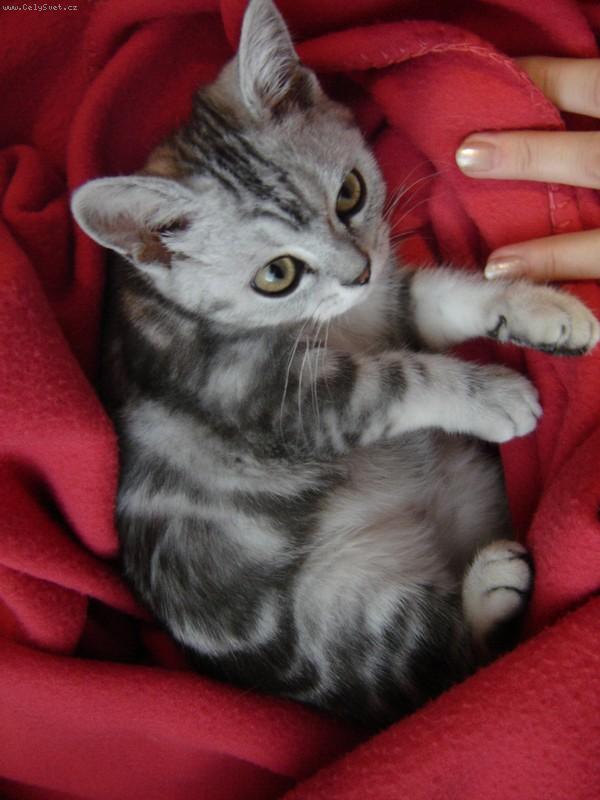 Foto: Pro� m� ru��te ze hry...