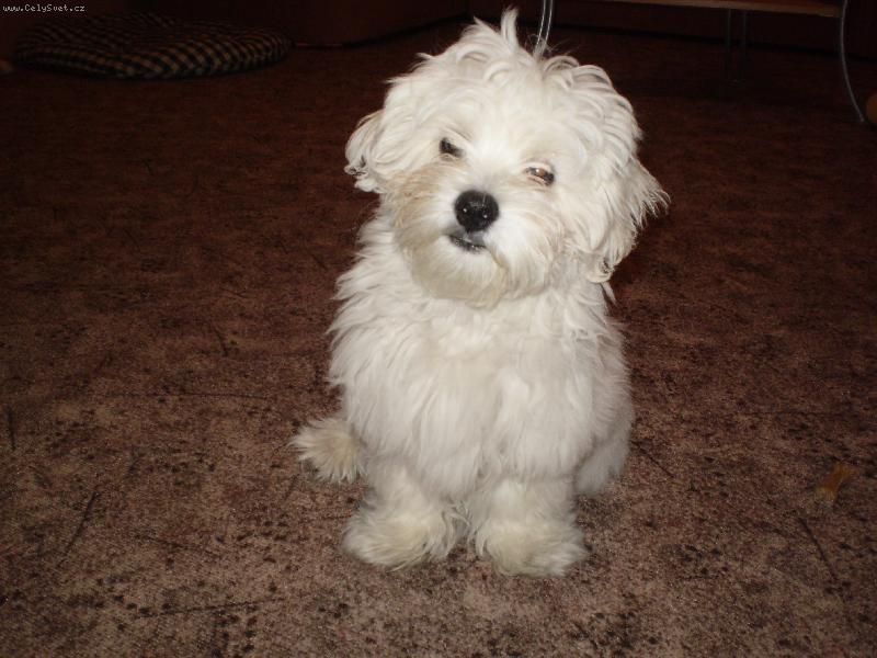 Foto: Ro���k-Mont�k