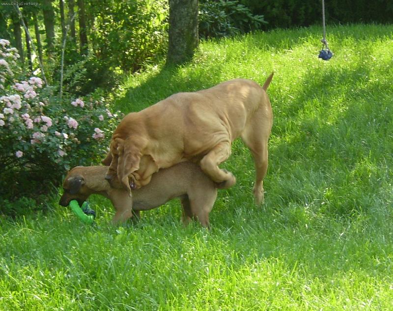 Foto: ISEB CS-... taky chci ten krou�ek