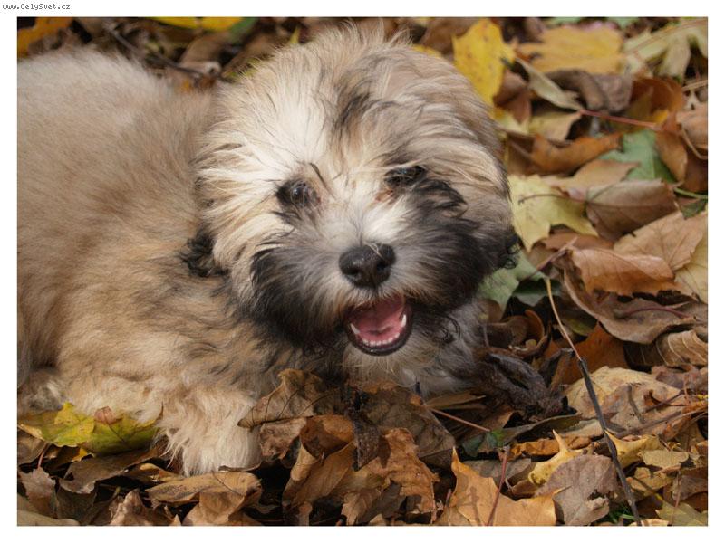 Foto: Ange-h�����j =)