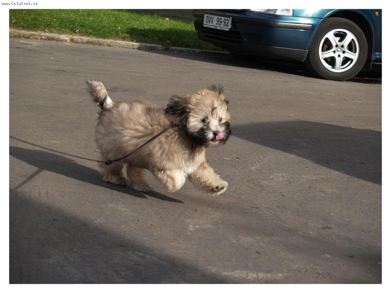 Foto: Ange-pozor b������m