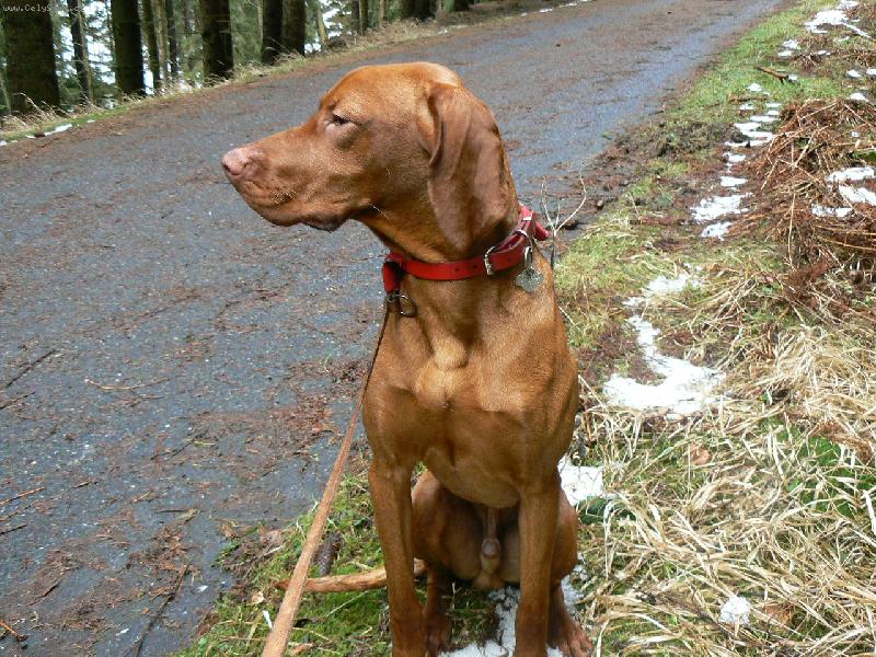 Foto: Paddy-V Kyjovsk�m �dol�