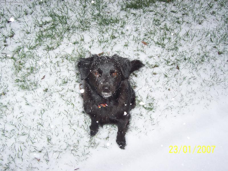 Foto: almine�ka-jejda sn�ek!!!