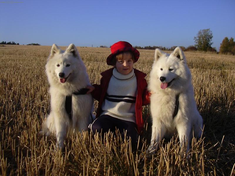 Foto: T�i �i�inky