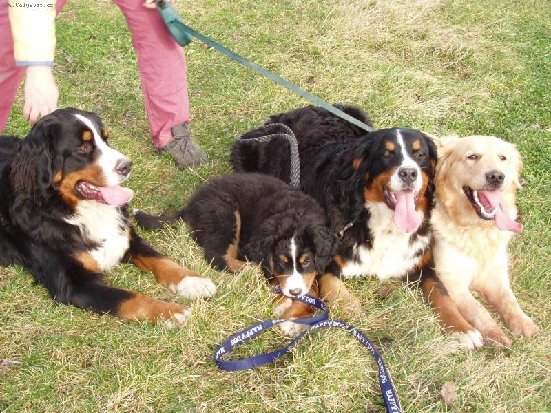 Foto: Eli�ka,Lusy,Bar�a a Fabio