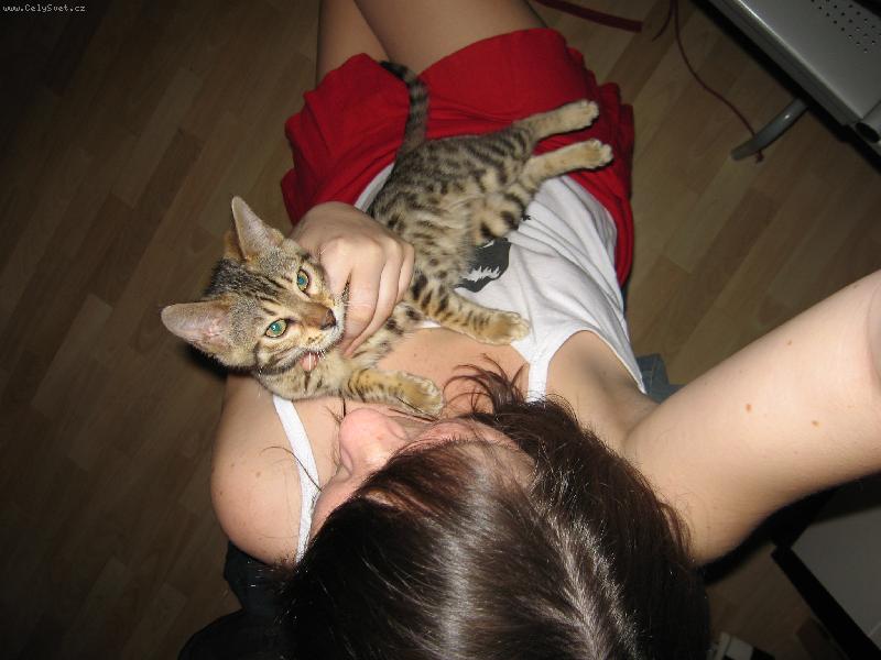 Foto: Sat�nek-ma�ka zo Slovenska