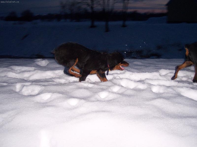 Foto: Sany-Hr�tky v zim�